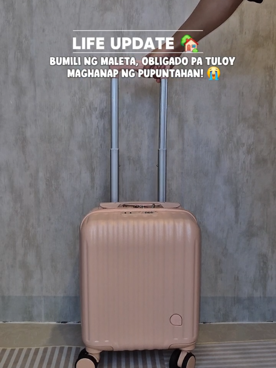 @Life of Mica ᥫ᭡