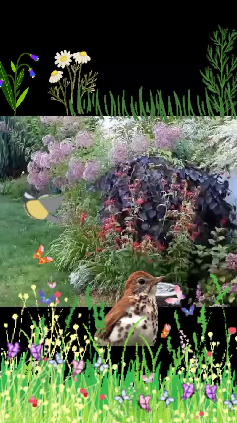 @Дракоша