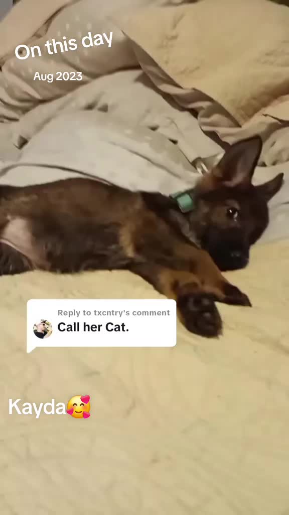 @shotgunJenny