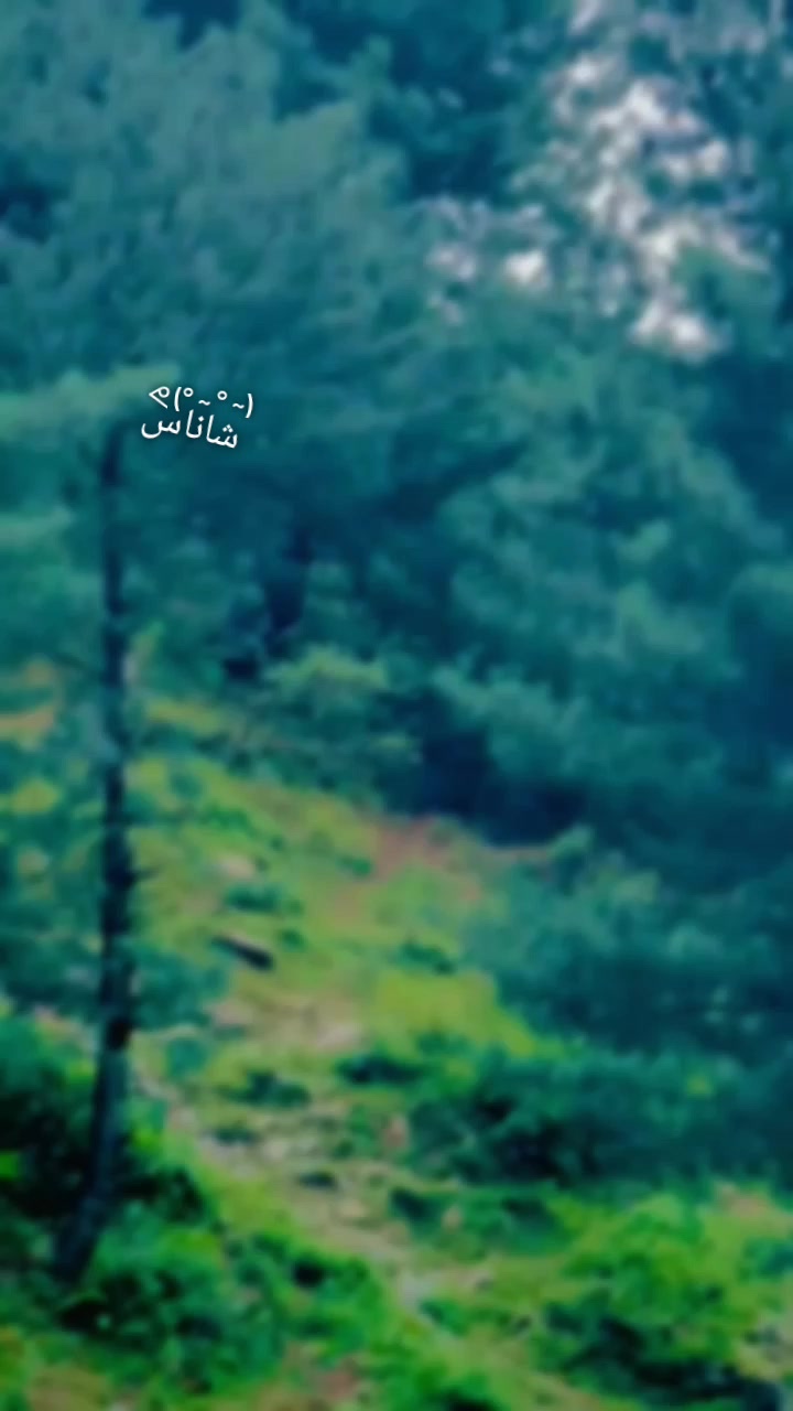 @🚩SHAنKAR🚩