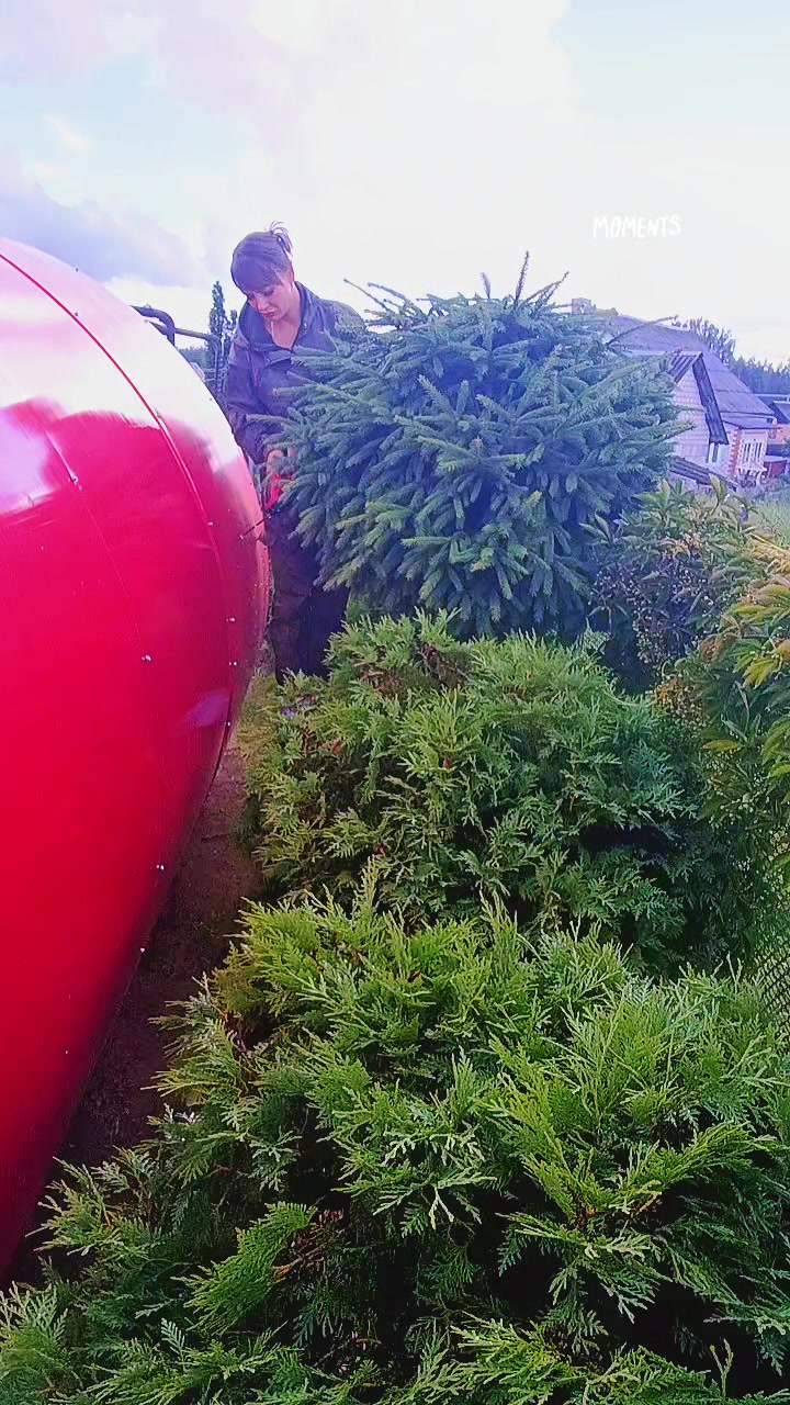 @Татьяна