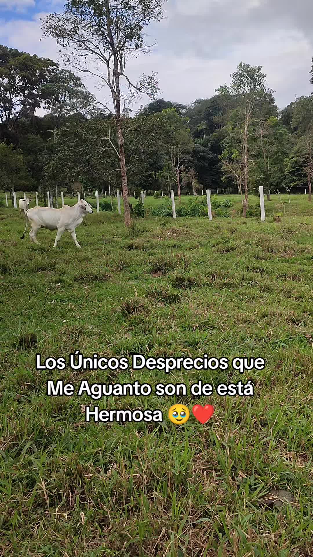 @SERGIO. R._94