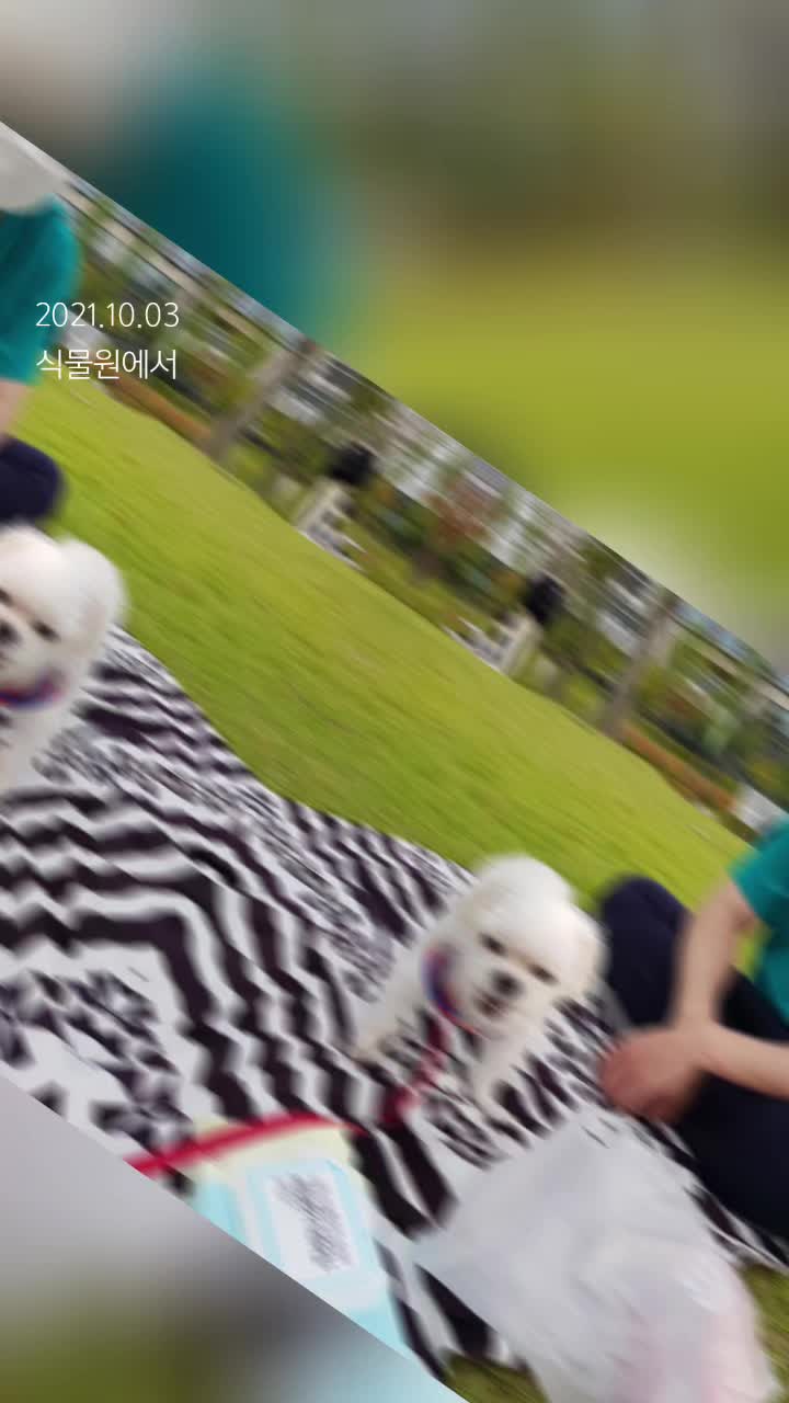 @초롱맘