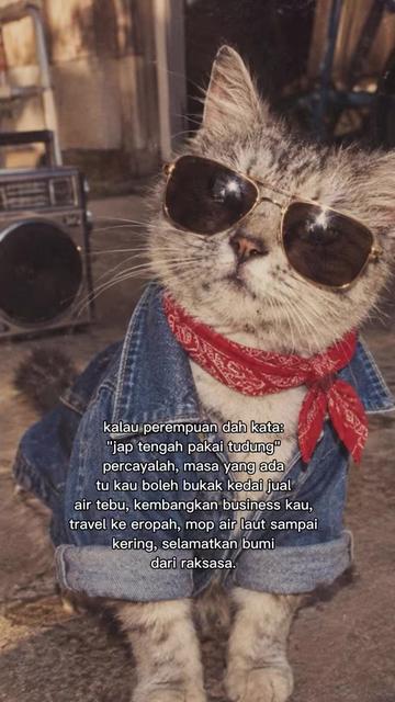 @Shima Amil