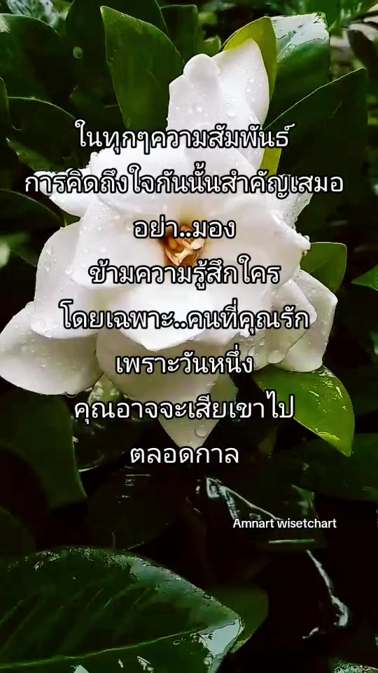 @Amnart wisetchart