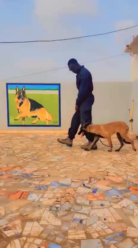 @G.I.C.N 🇸🇳🐾Ma&icirc;tre Weuz🐕&zwj;🦺