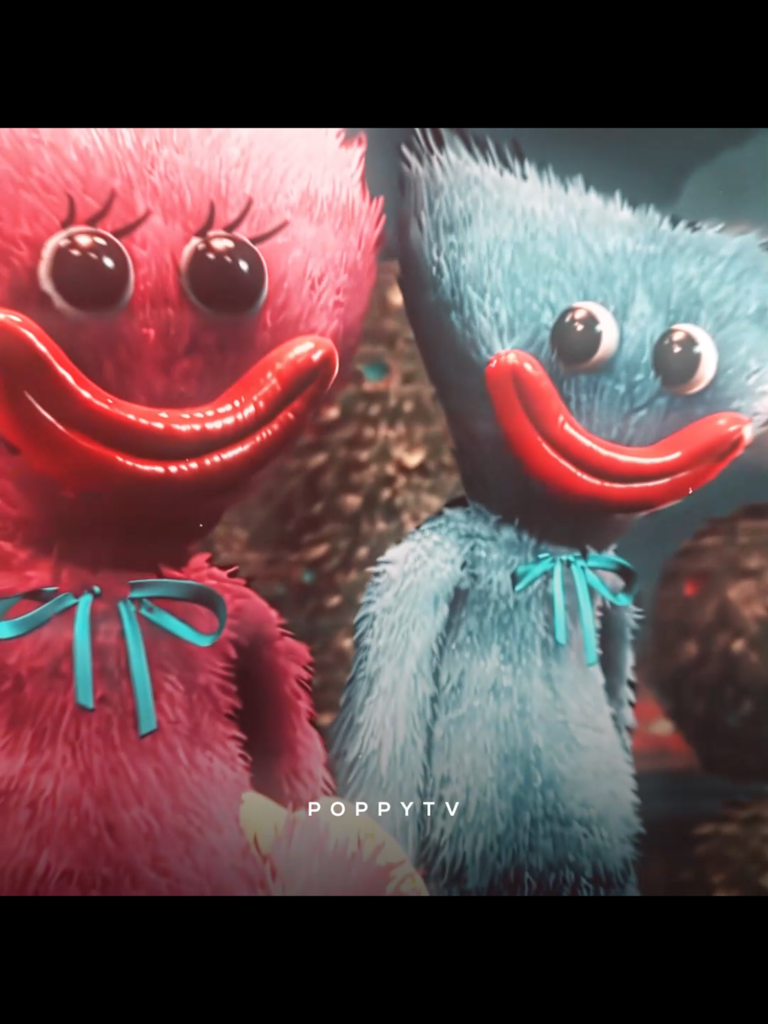 @PoppyTV