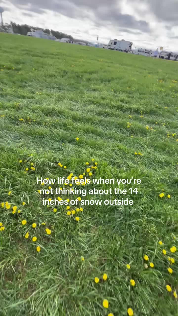 @meg