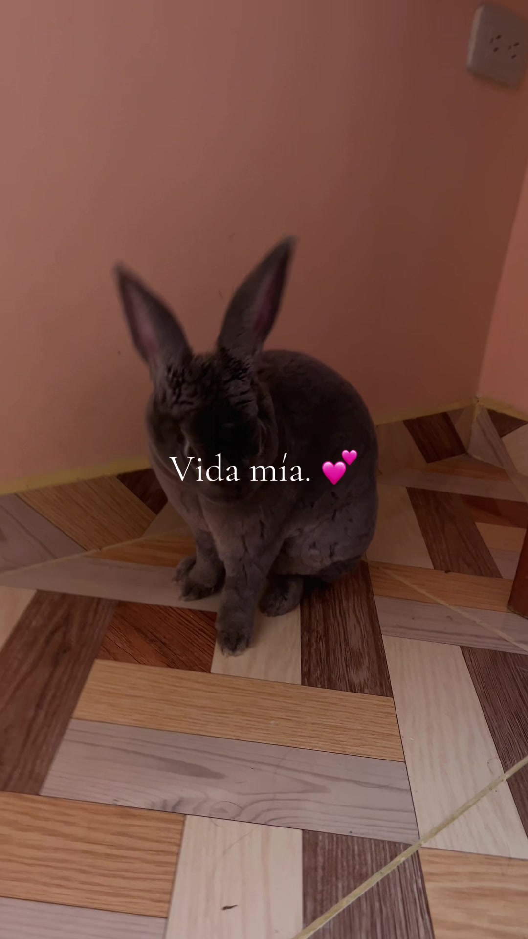 @Nasthia 🦇