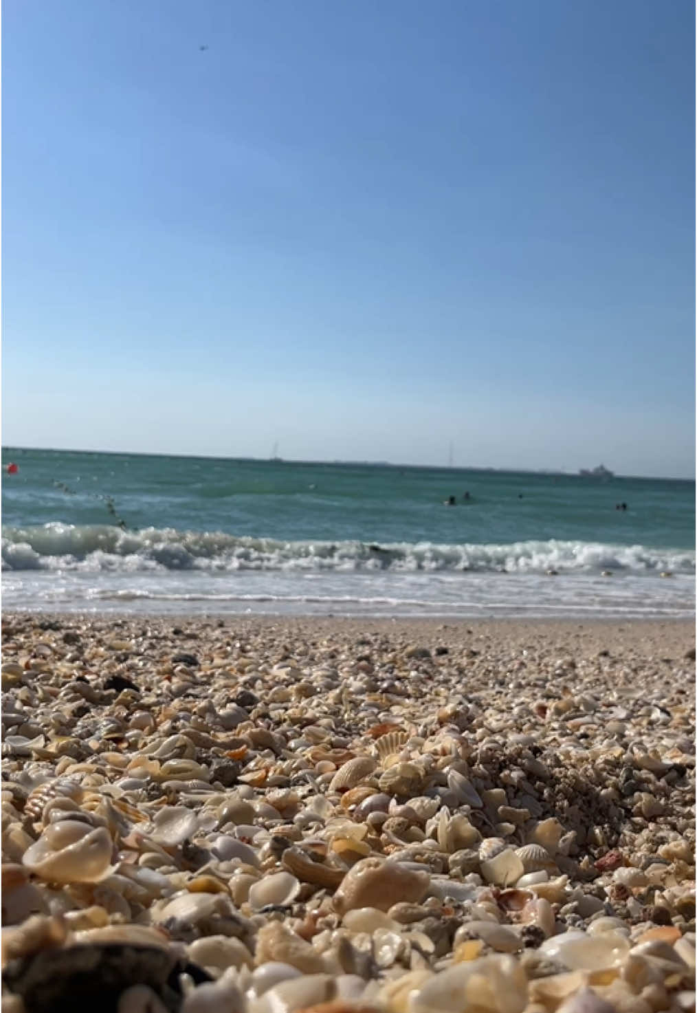 @momen🏝
