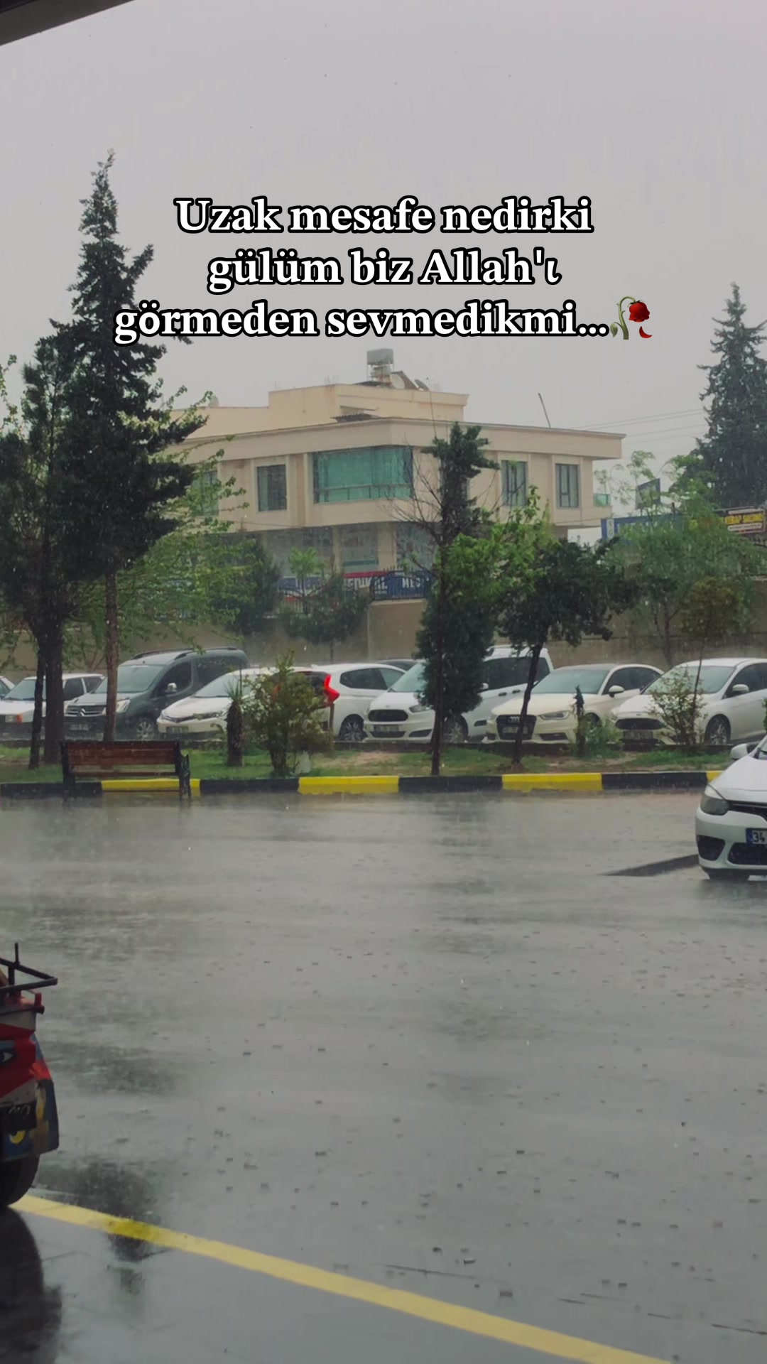 @HAYALİMSİN__63