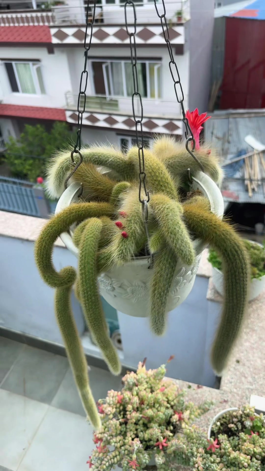 @Plantlife50