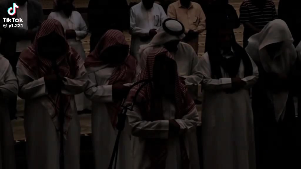 @نوكتك ستريم سنايب