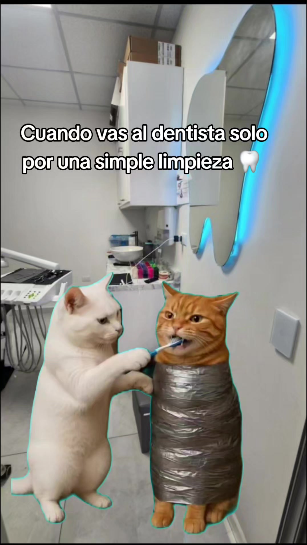 @Misinguita Cárdenas 😻