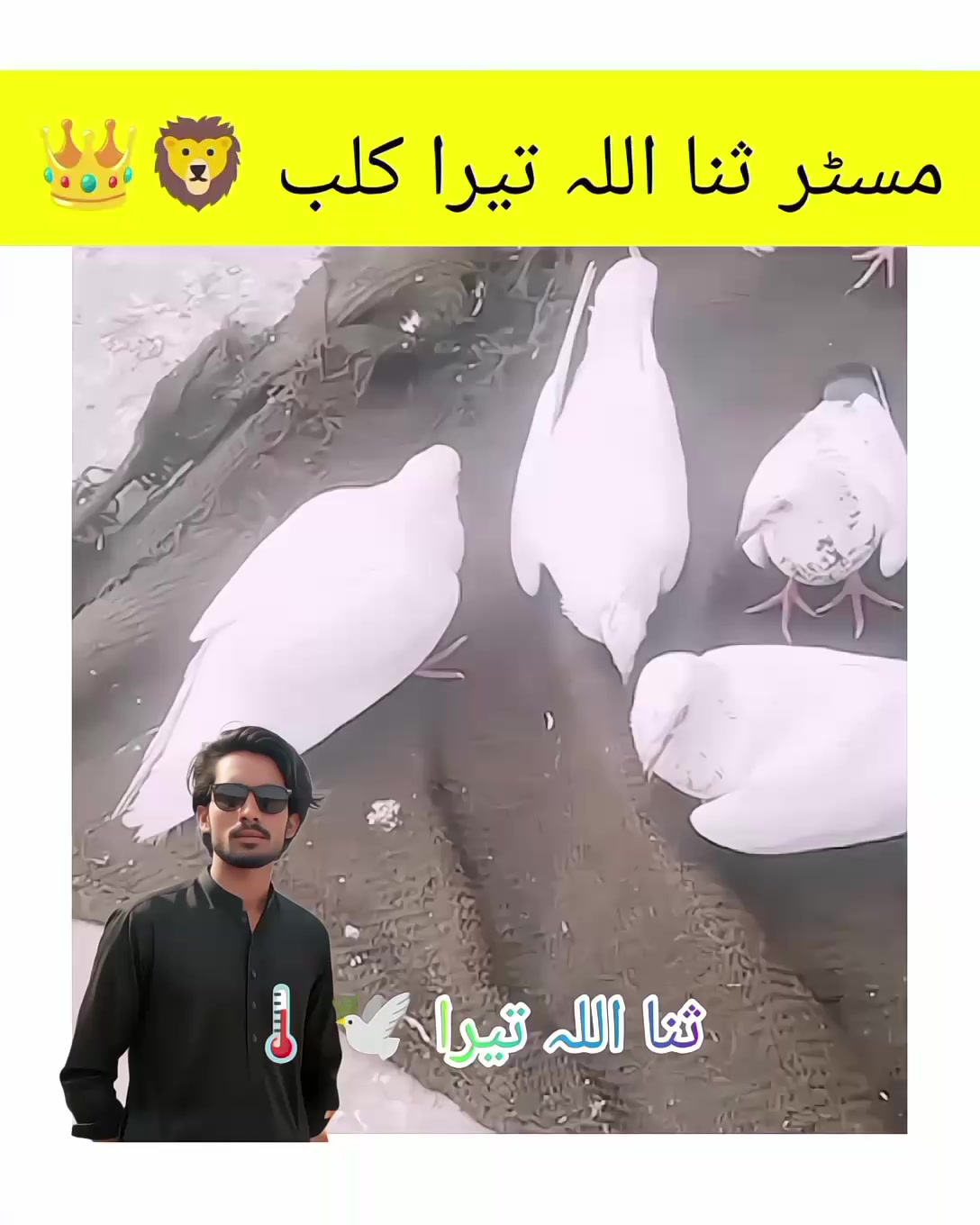 @ᴹʀ Ｓꪋⁿꪋ𝐮ไไꪋ𝚑