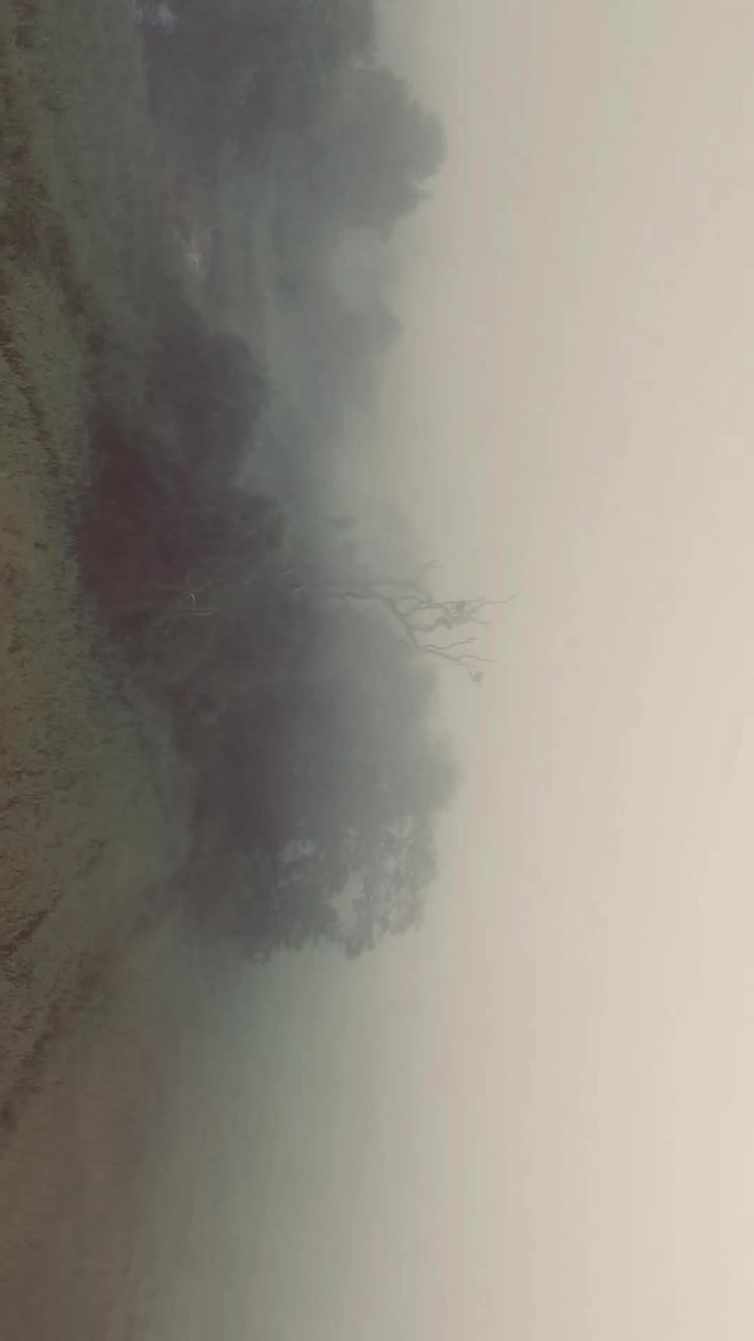 @billafpv
