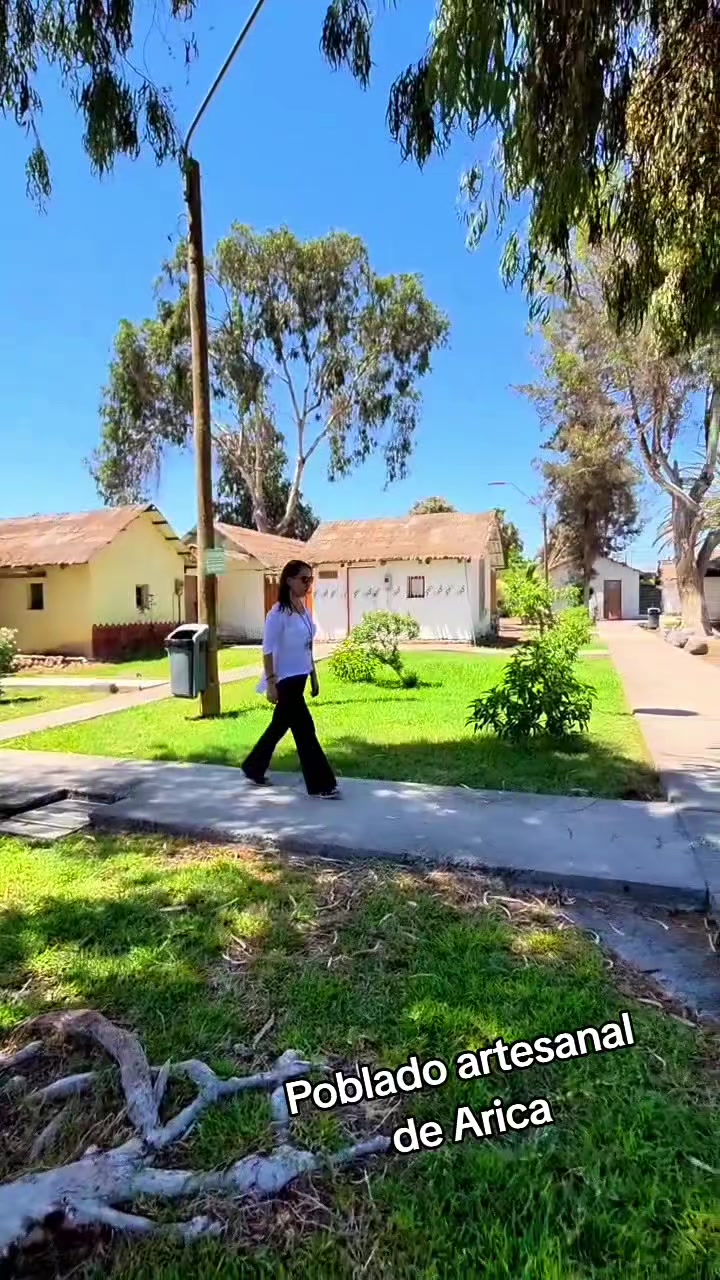@Arica es Bacán