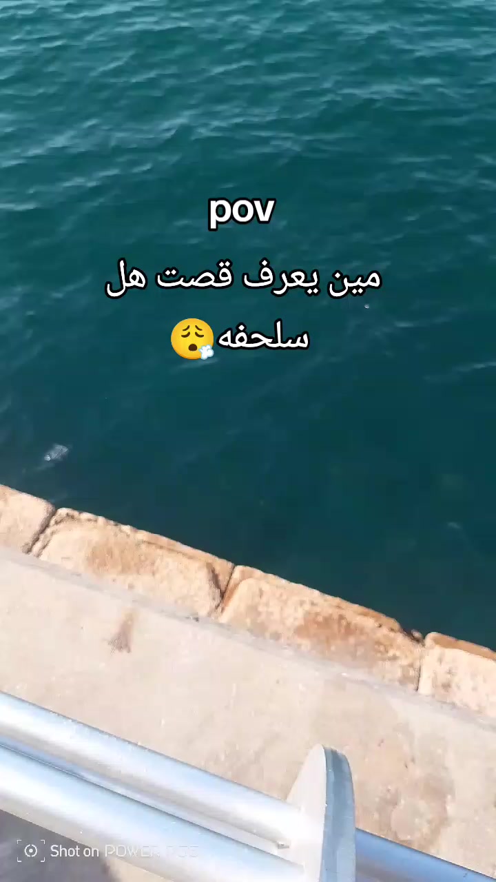 @هجـ⃪⃪ـ͢ـ⃪📮⍣⃟ــ⃪͢ران