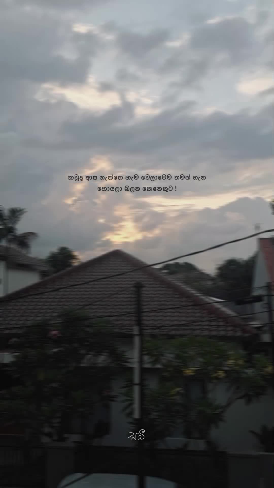 @| 𝐒 𝐚 𝐜 𝐡 𝐢 𝐲   !&iexcl;🤍.ᐟ