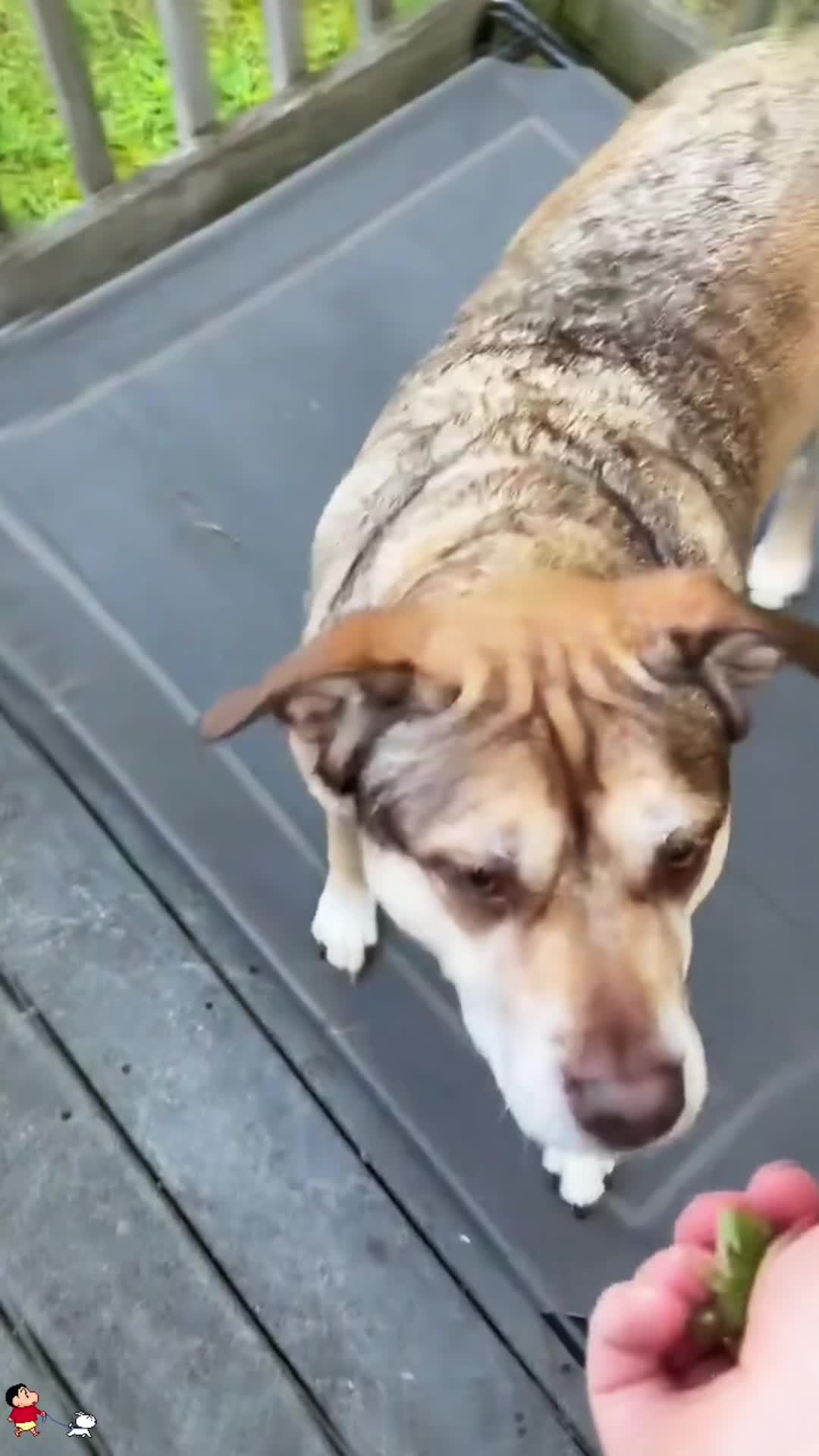 @SneakyFails