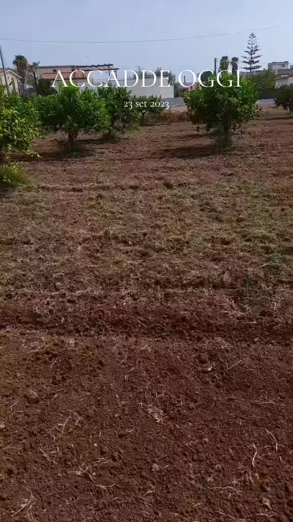@user8770659710641