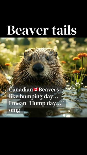 @a.canadiangoodgirl🇨🇦🇮🇹
