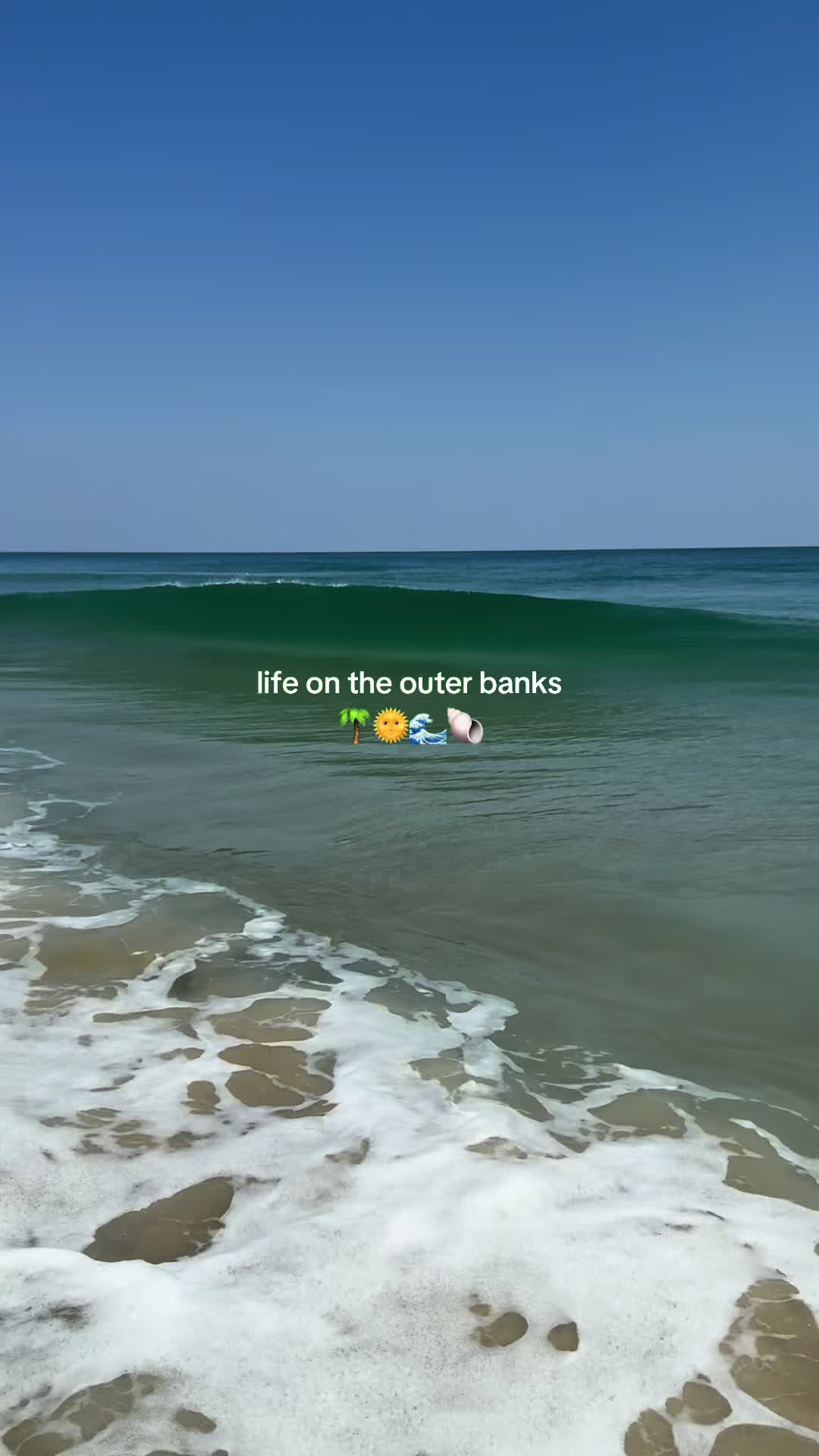 @Twiddy OBX