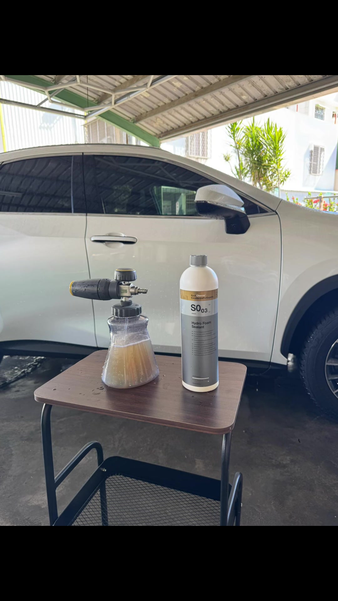 @邦尼洗車
