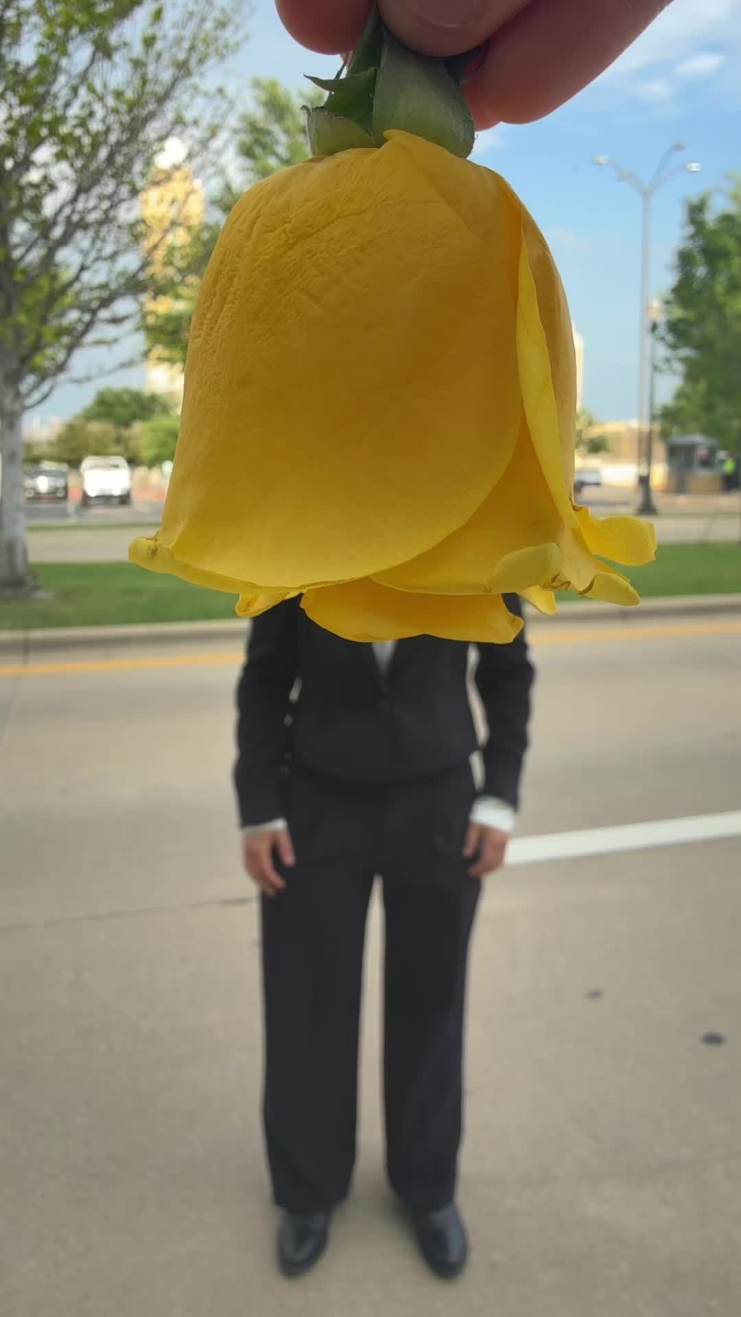 @meowkittycat294