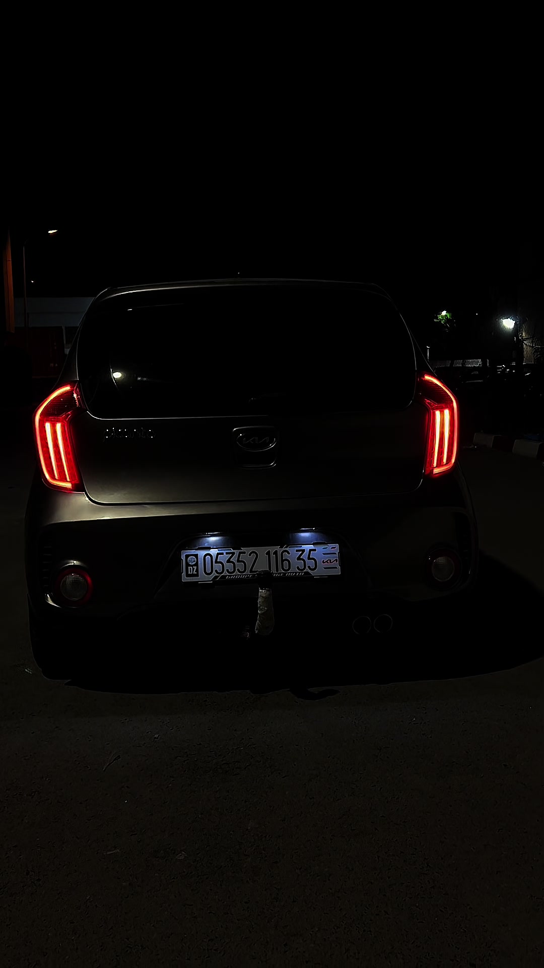 @anis picanto