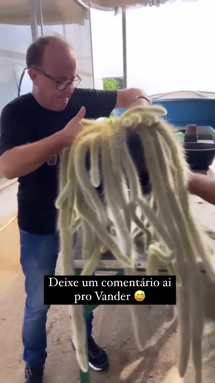 @VandoeFabi
