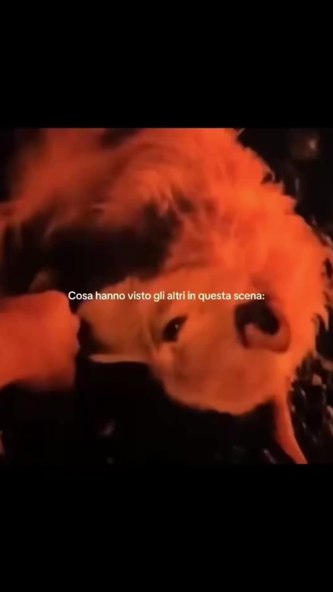 @G🦋🌙