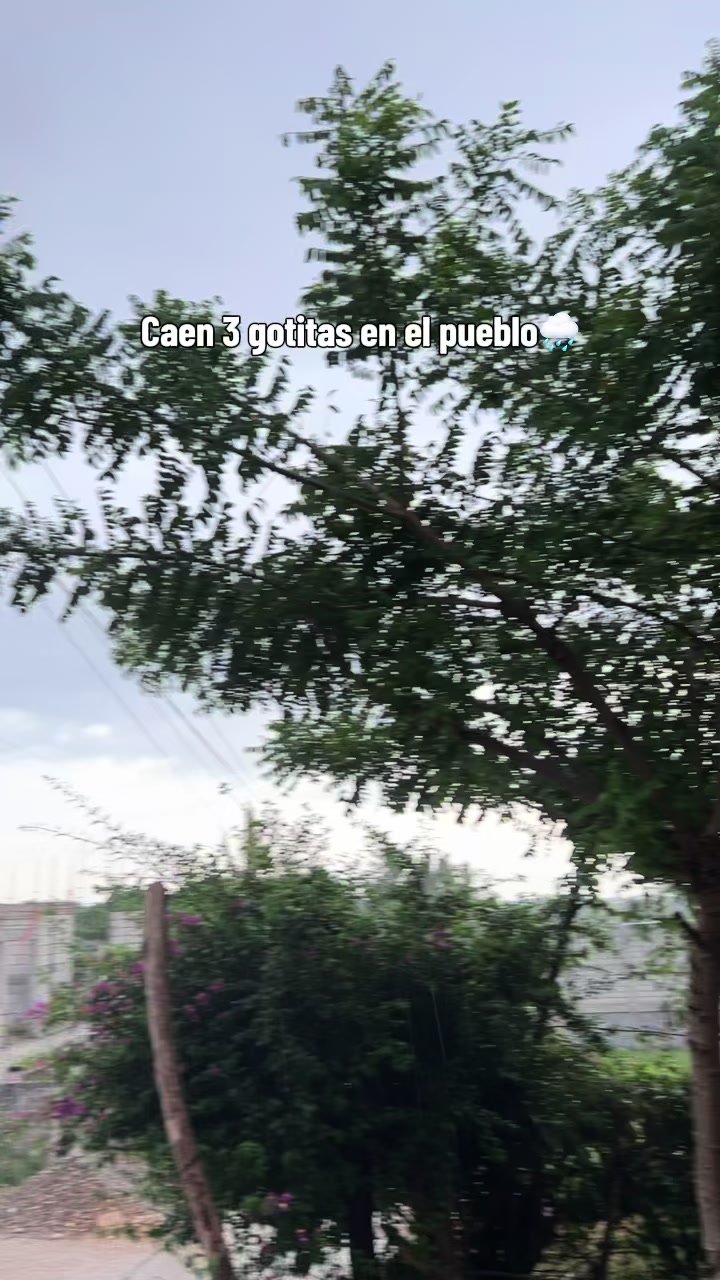 @Mili Montes