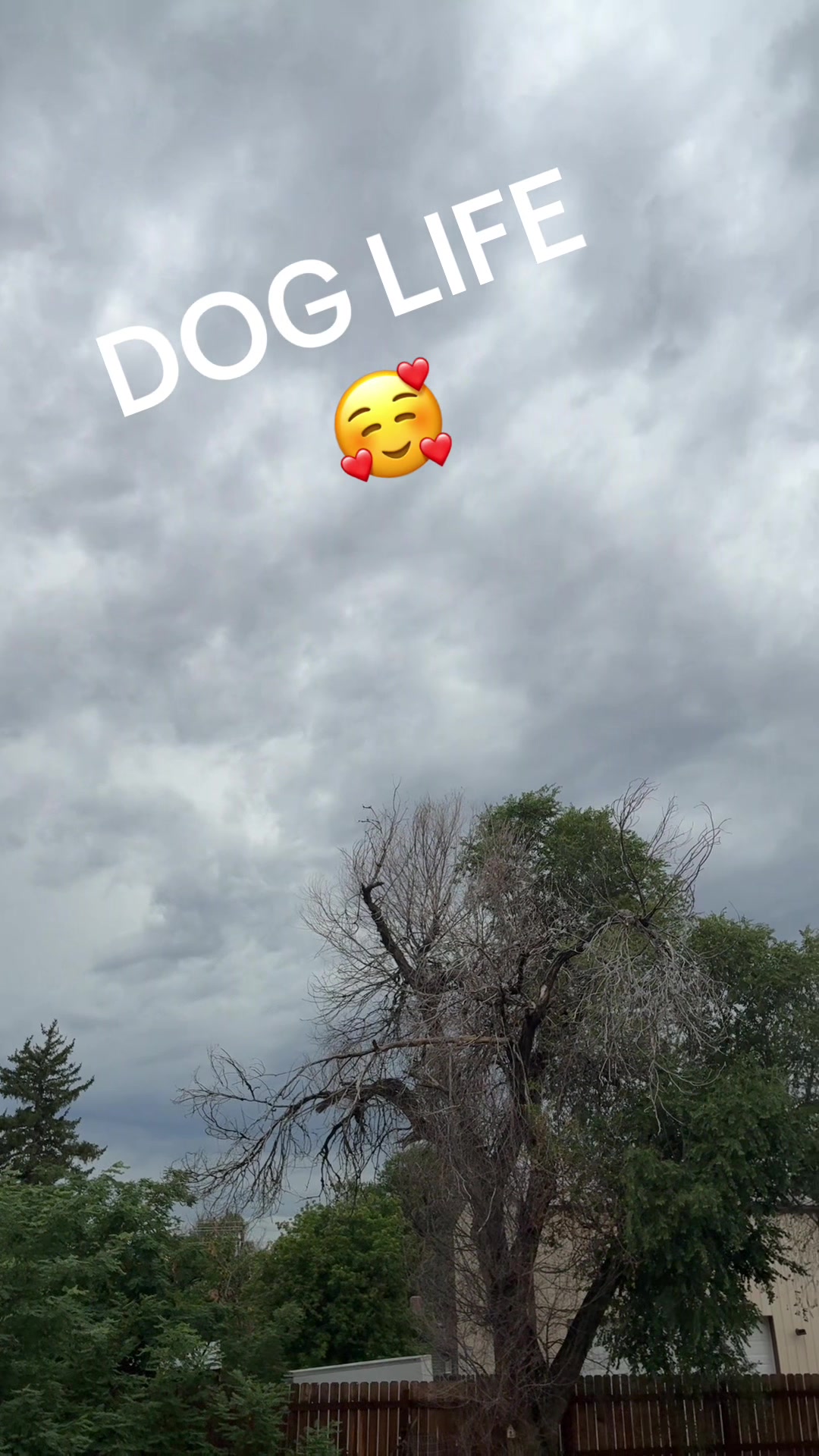 @McDunkirks