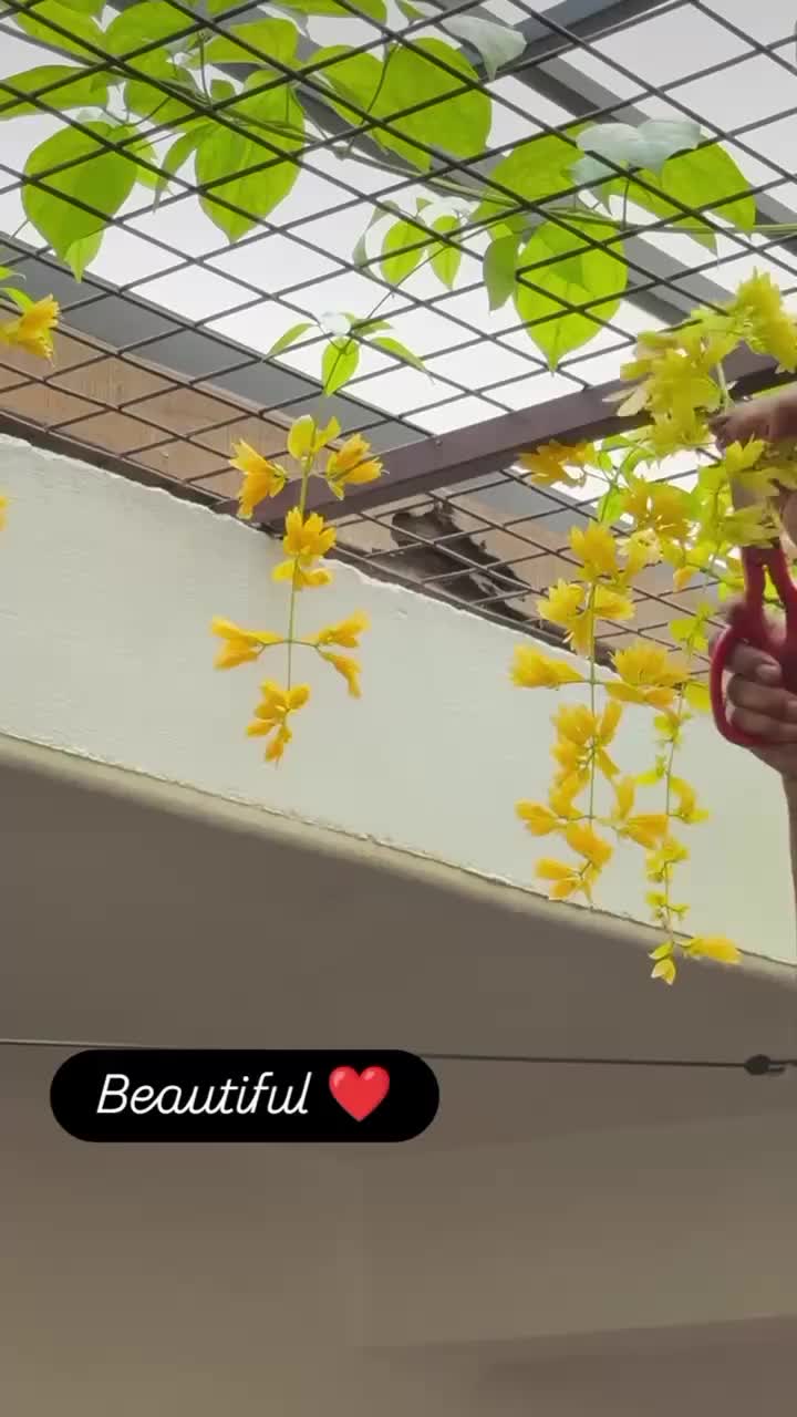 @lathamuthukrshnan6