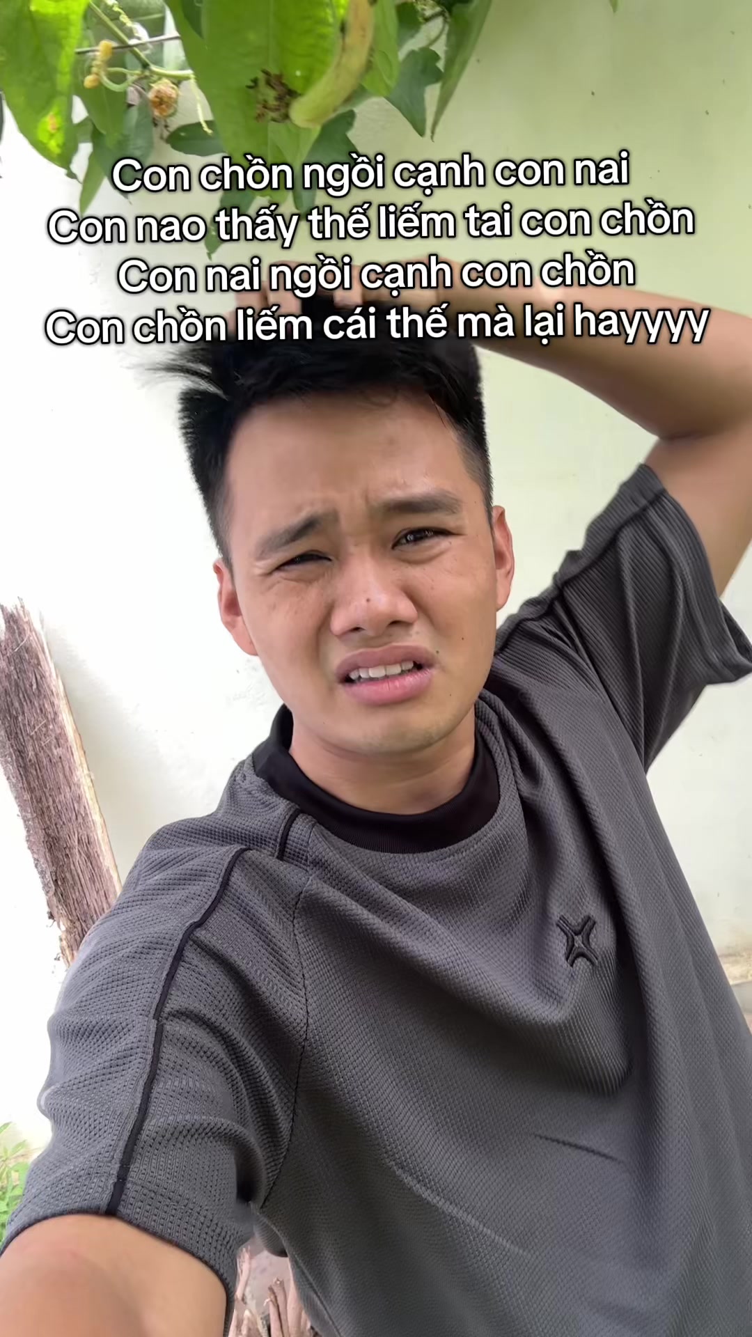 @Hoàn Cheng