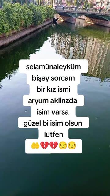 @mizgin