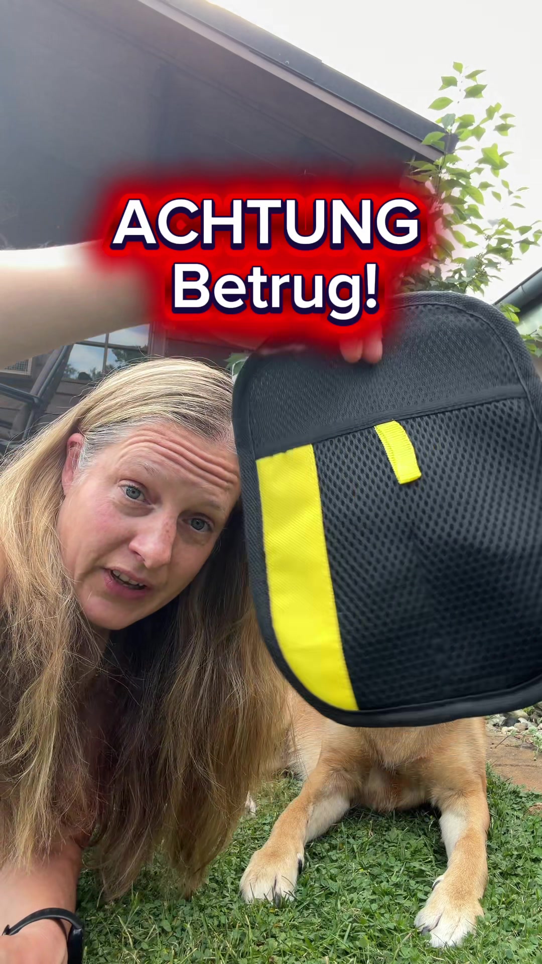 @INSAbenteuerHund
