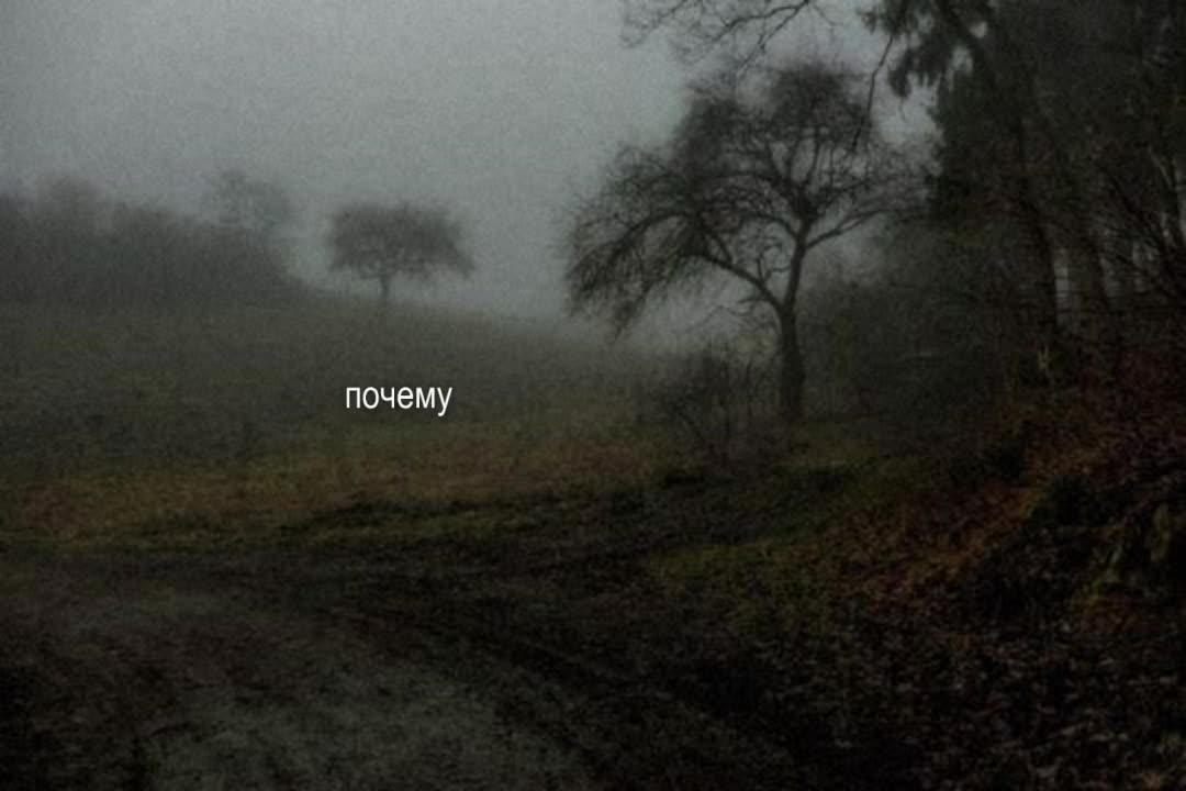 @звуки для липсингов