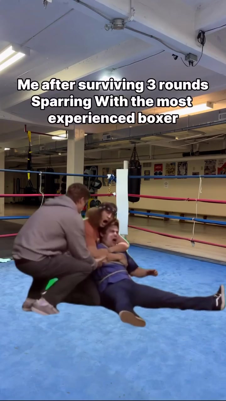 @Panthera Fist Boxing