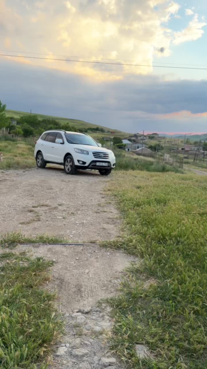 @Ceko 🐆910