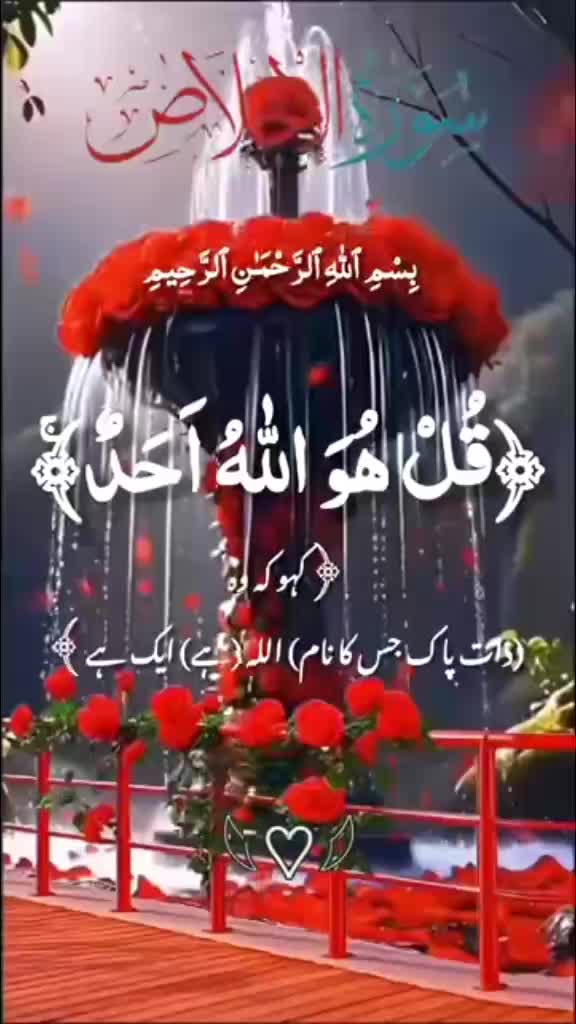 @ch.Altaf Tarar03429996335