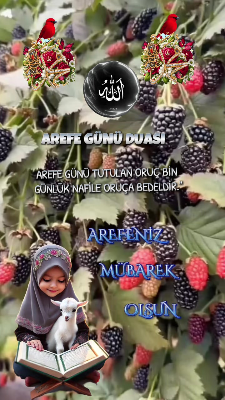 @🇹🇷҉͜͡✭DAMLA🦂GÜL🇦🇿҉͜͡✭