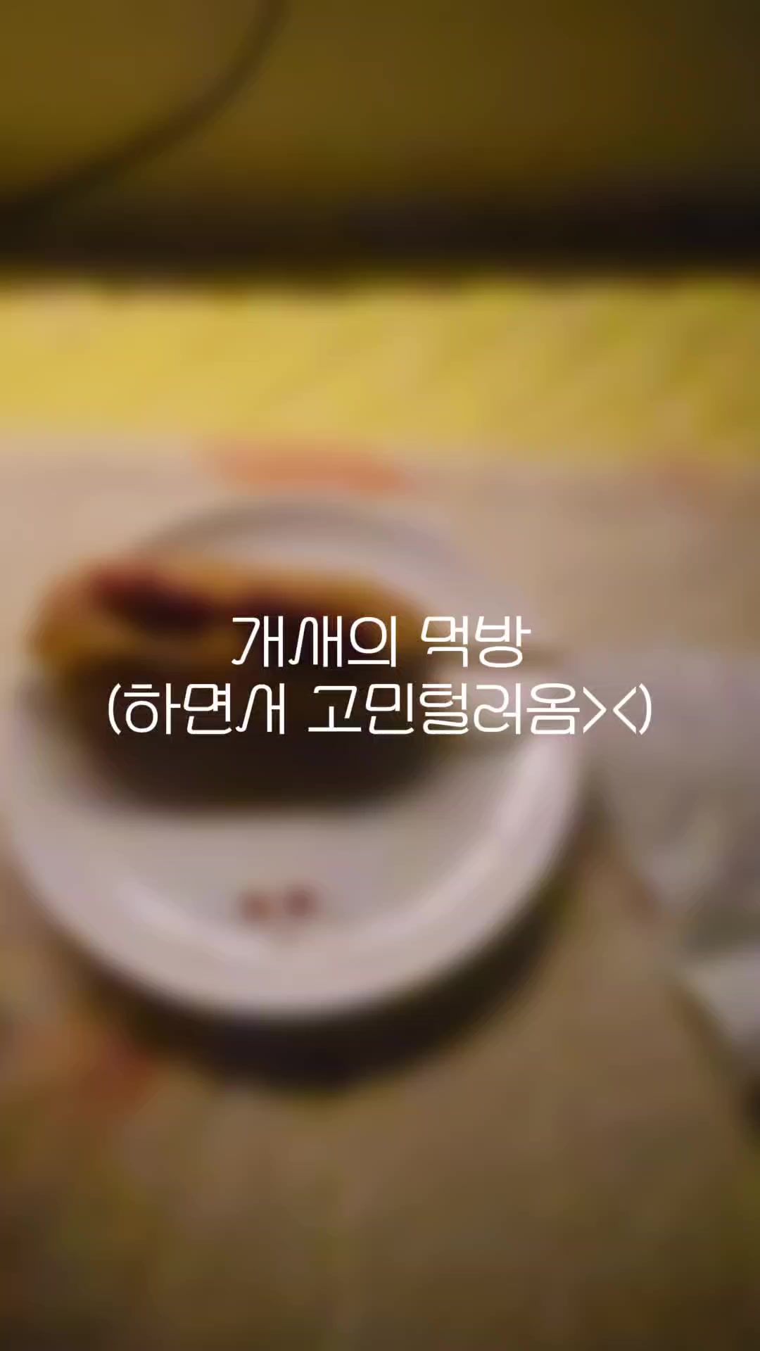 @개새ᐕ
