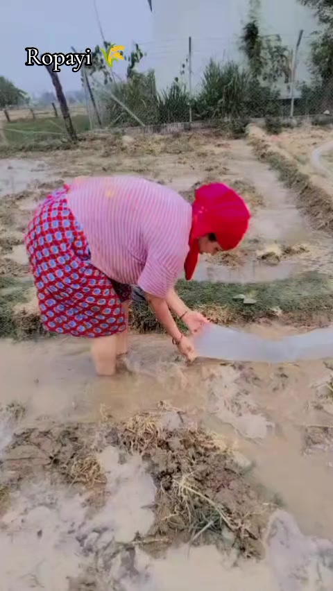 @RwT_priyA_uK_13 🇮🇳🫶🇳🇵