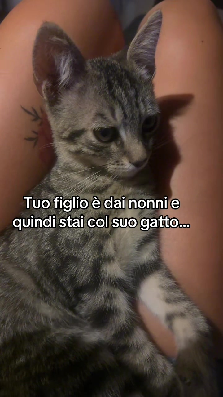 @Serenella