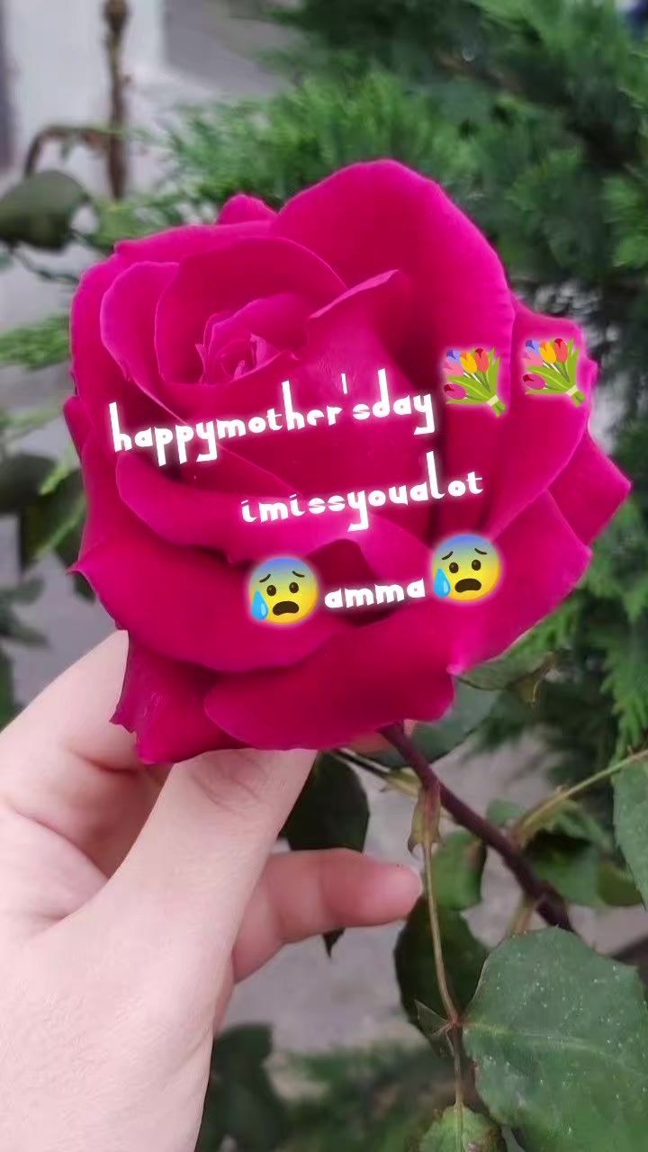 @๐VINNI ๐