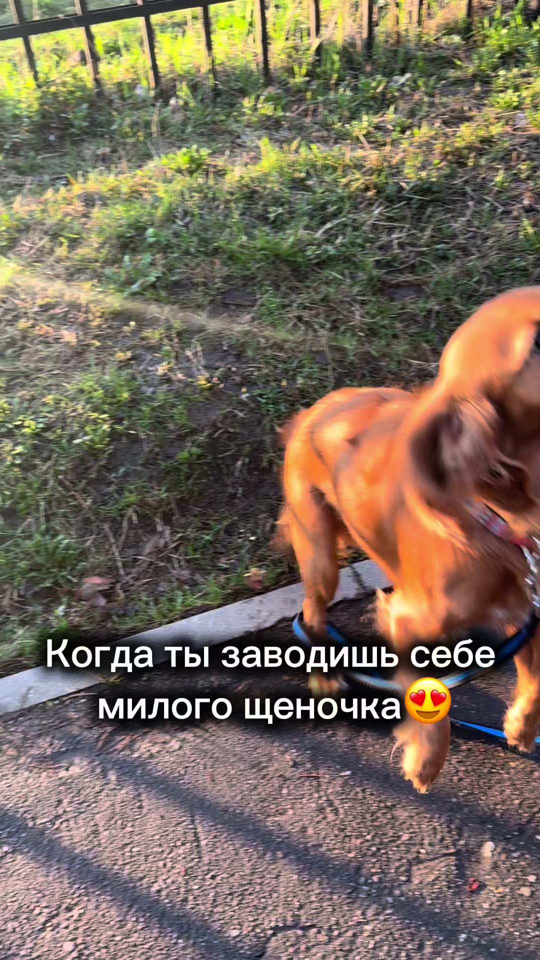 @lubavushka_