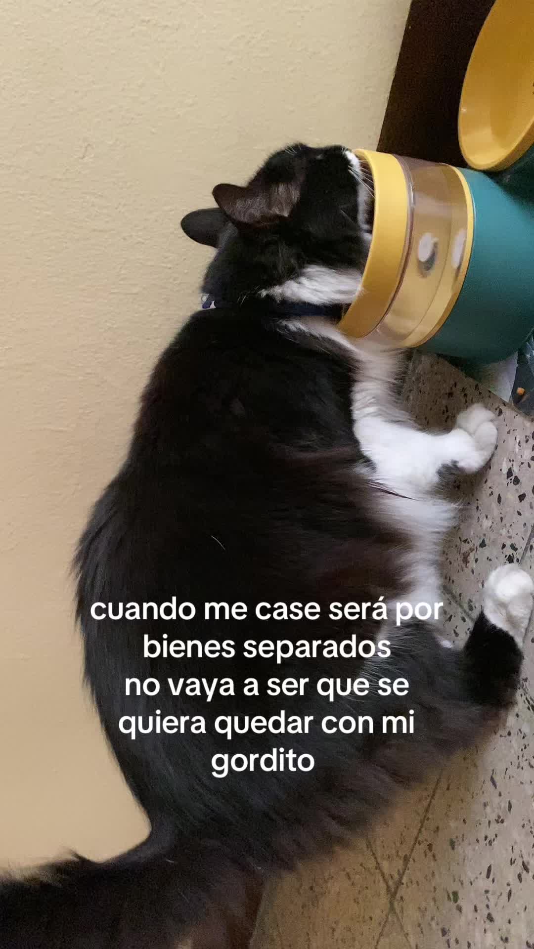 @luciaadomenech