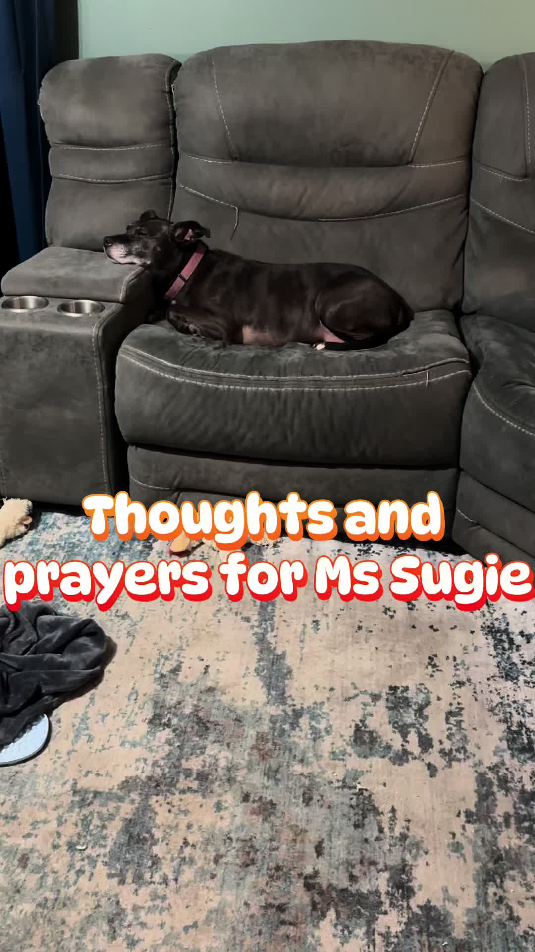 @warriorgirl_Traci 72